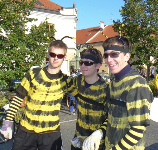 .. týmový fotografie